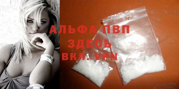 винт Горно-Алтайск