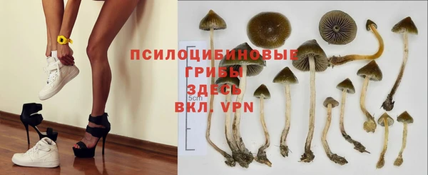 винт Горно-Алтайск