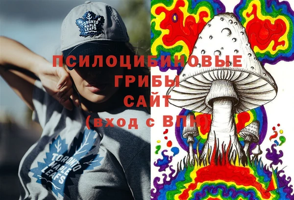 винт Горно-Алтайск