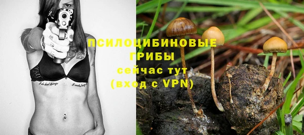 винт Горно-Алтайск